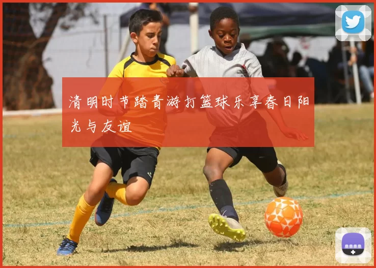 清明时节踏青游打篮球乐享春日阳光与友谊